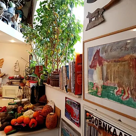 Diana'S B&B-3